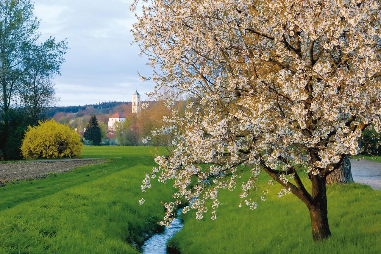 Best Western Aparthotel Birnbachhoehe Bad Birnbach Exterior foto